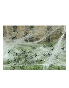 50 koristehämähäkin paketti