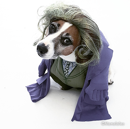 costume joker per cane