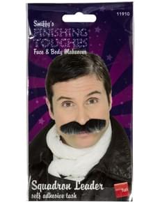 Moustache de commandant d'avion