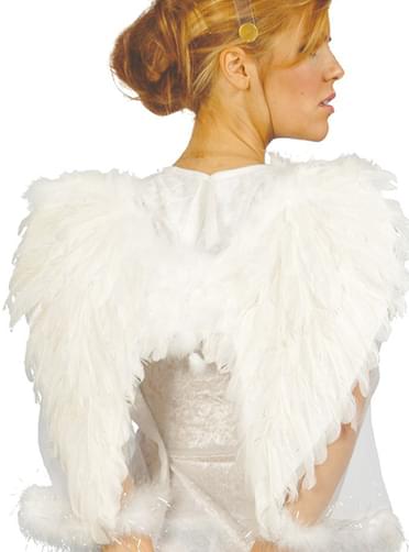 Valkoiset Enkelin höyhensiivet