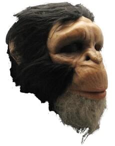 Klassische Schimpansenmaske