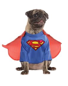 Costume de Superman Classique pour chien
