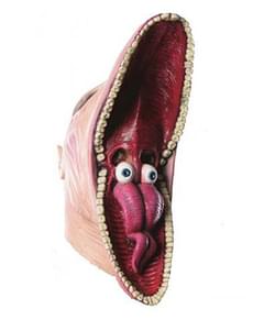 Barbara Beetlejuice deluxe latex mask for an adult