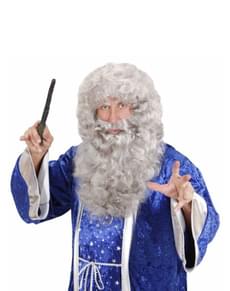 Wig and maxi grey beard