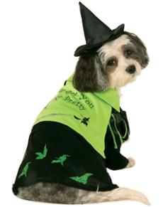 Costume La Sorcière de l'Ouest chien