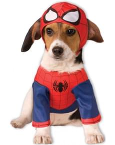 Costume Spiderman per cane