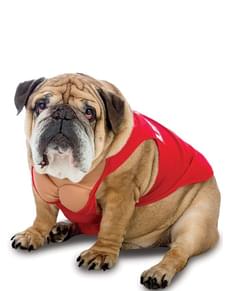 Costume da bagnino per cane