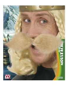 Baffi biondi da Gallico