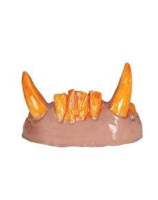 Ork Gebiss für Erwachsene