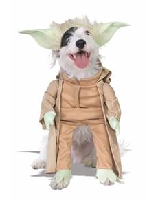 Déguisement Yoda pour chien