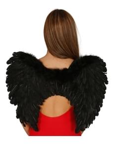 Feder Flügel Schwarz