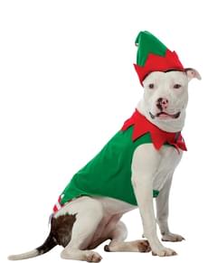 Costume d'elfe pour chien